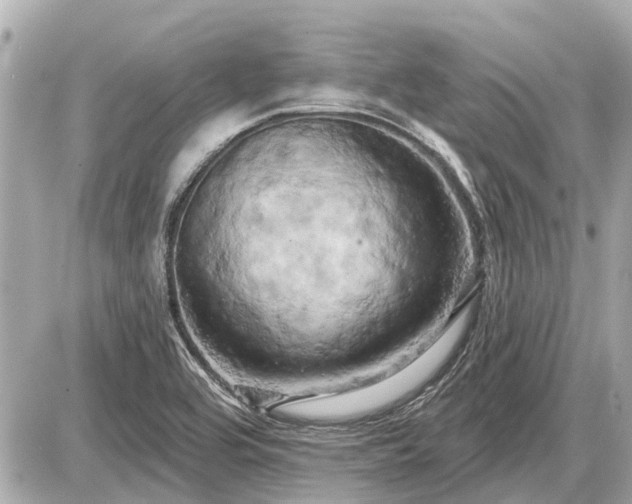 X0000087531464200705041225