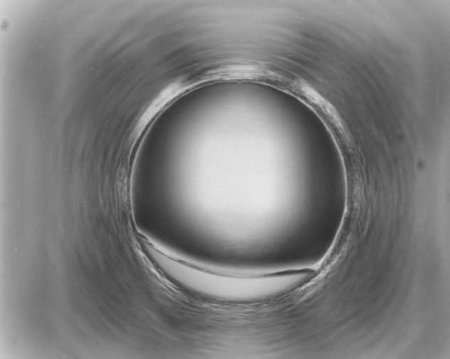 X0000087531473200705041225