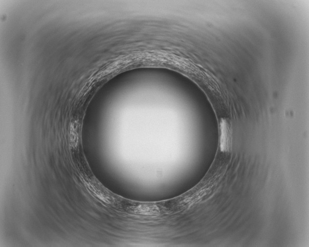 X0000087531491200705041224