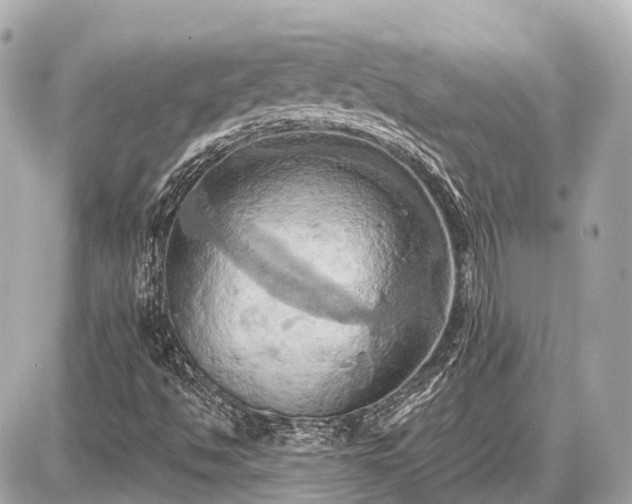 X0000087531494200705041224