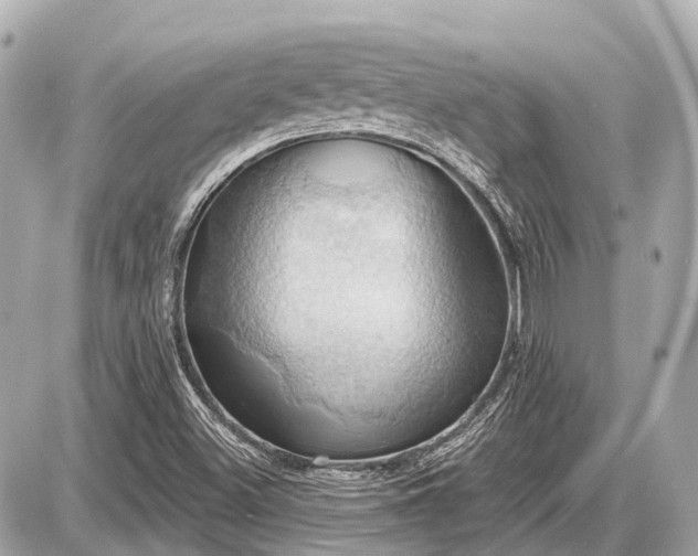 X0000087531500200705041224