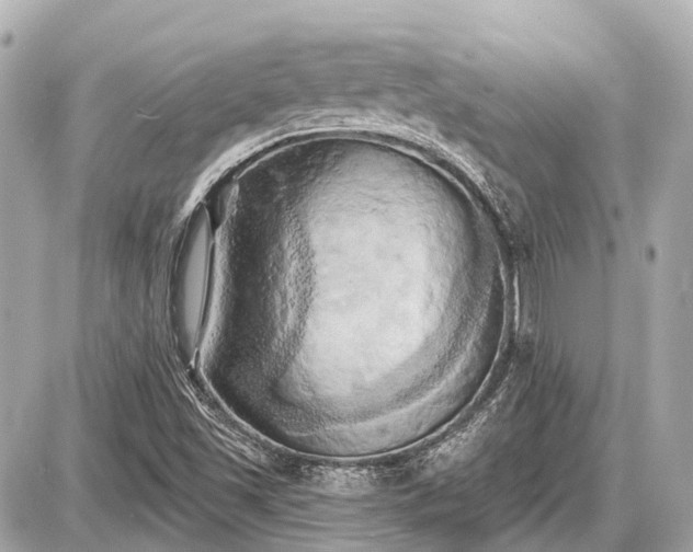 X0000087531501200705041224