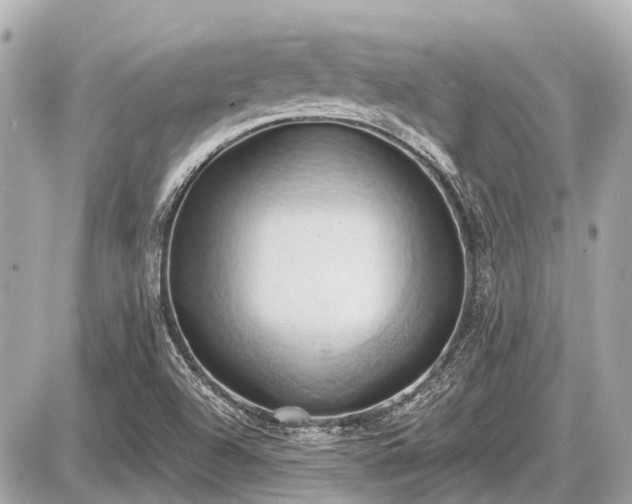 X0000087531504200705041224