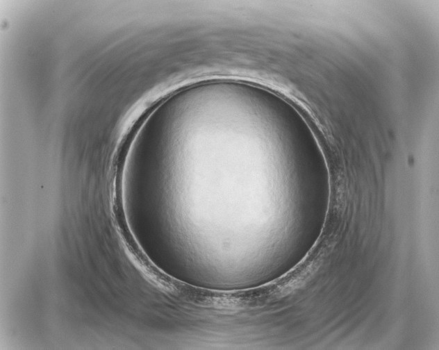 X0000087531511200705041224