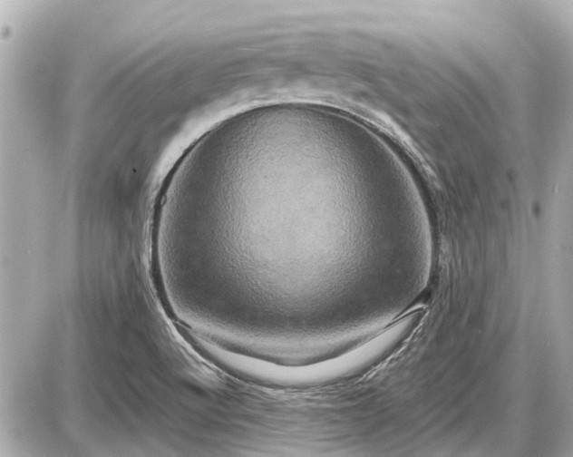 X0000087531512200705041224