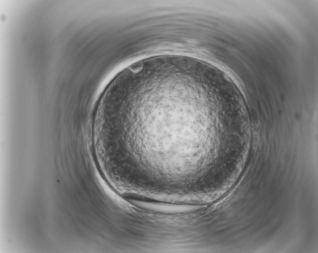 X0000087531531200705041225
