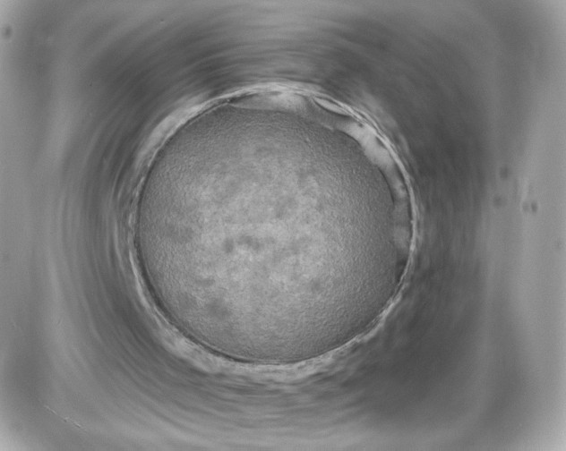 X0000087530001200705112043