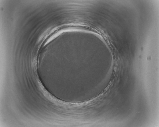 X0000087530002200705112043