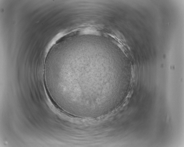 X0000087530003200705112043