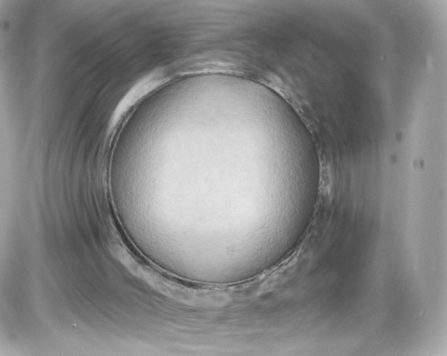 X0000087530004200705112043