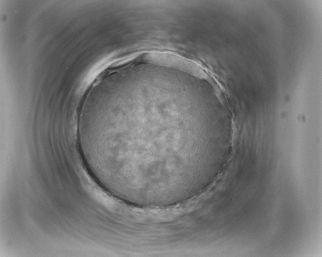 X0000087530005200705112043