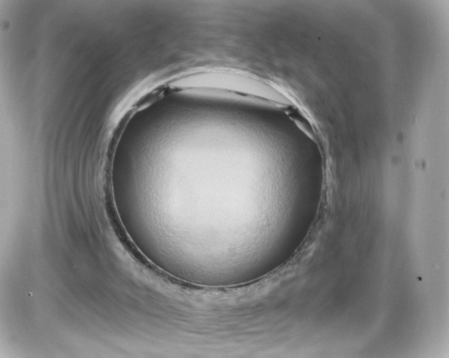 X0000087530007200705112043