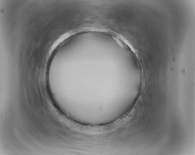 X0000087530008200705112043