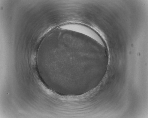 X0000087530009200705112043