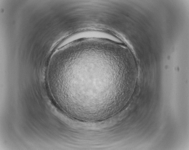 X0000087530010200705112043