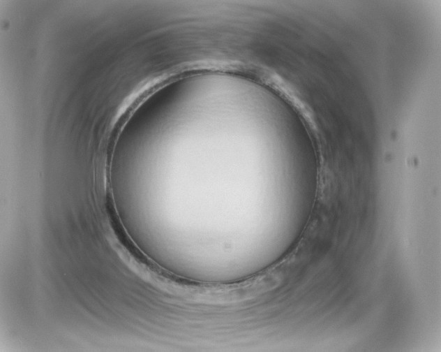 X0000087530011200705112043