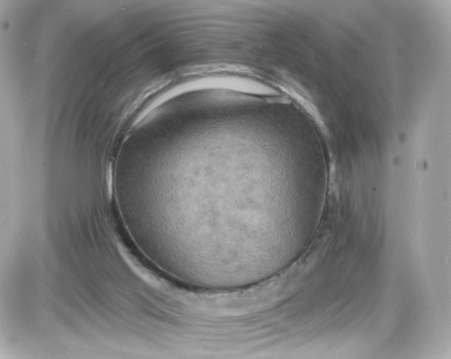 X0000087530013200705112043