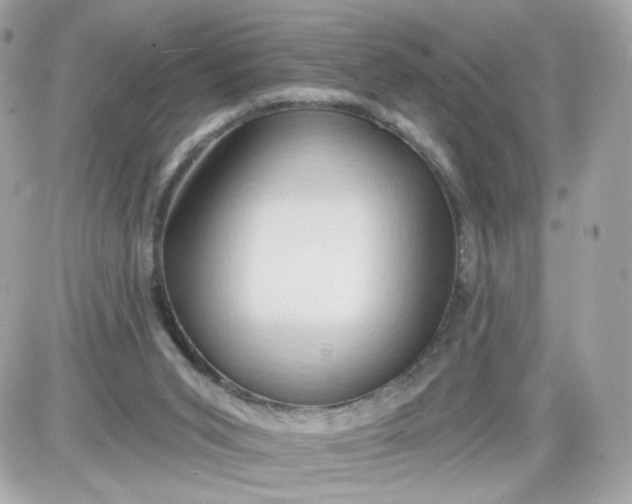 X0000087530015200705112043