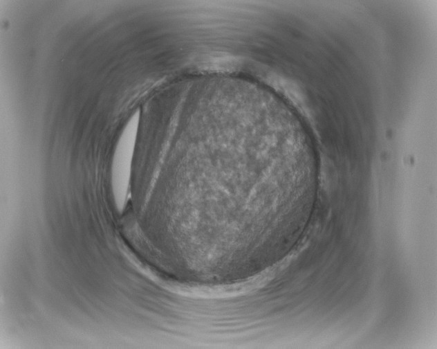 X0000087530017200705112043