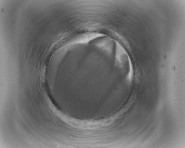 X0000087530018200705112043