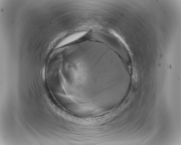 X0000087530019200705112043