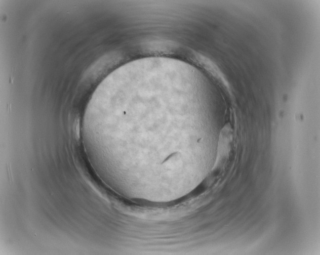 X0000087530021200705112043