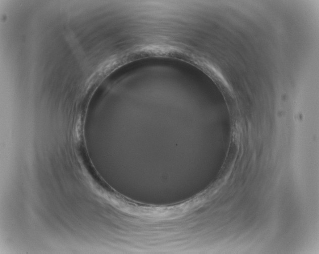 X0000087530023200705112043