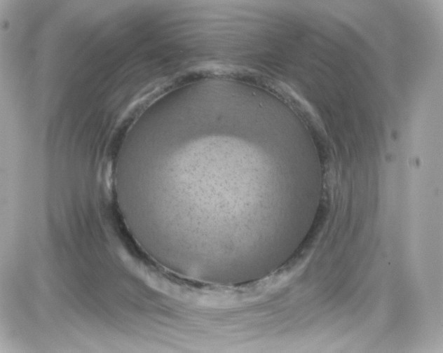 X0000087530024200705112042