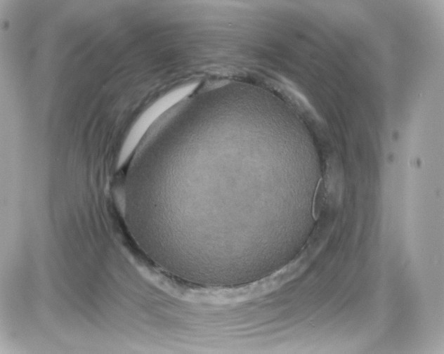 X0000087530025200705112042