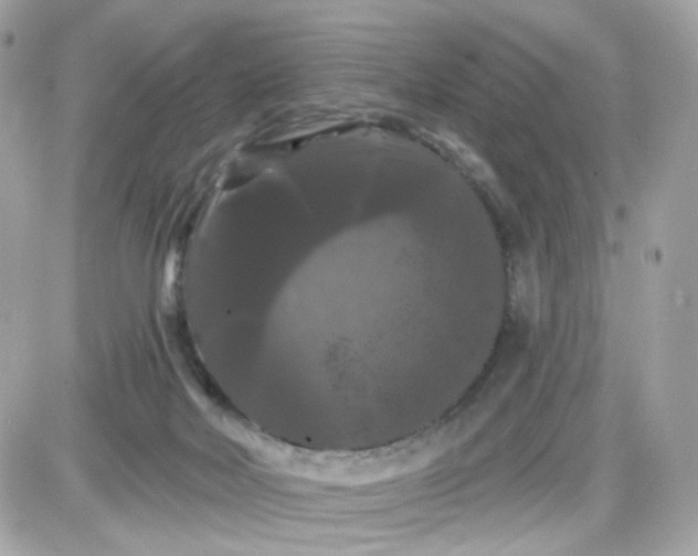 X0000087530026200705112042