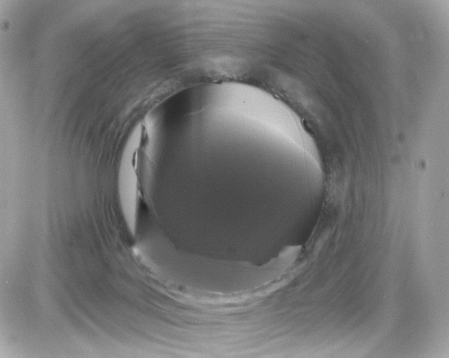 X0000087530027200705112042