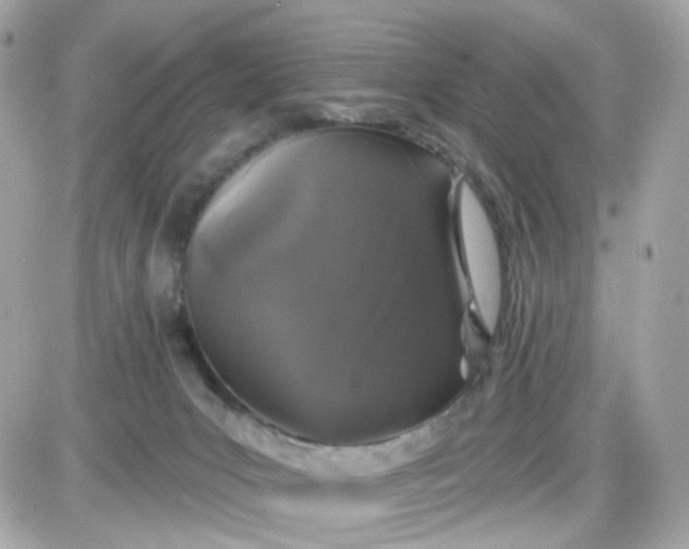 X0000087530031200705112042