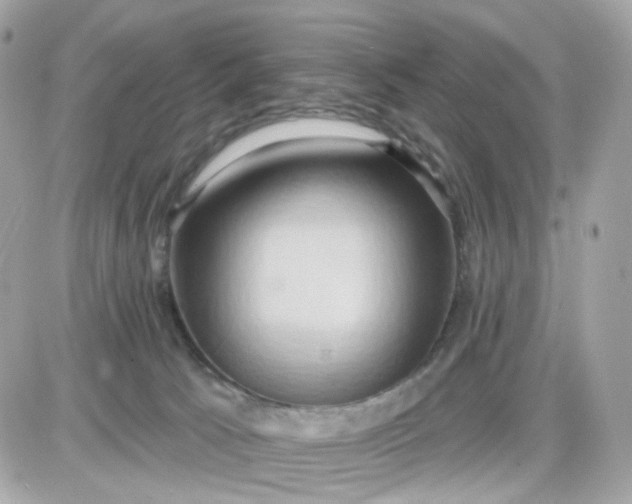 X0000087530033200705112042