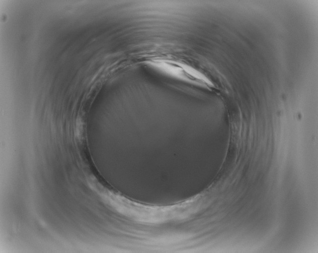 X0000087530035200705112042