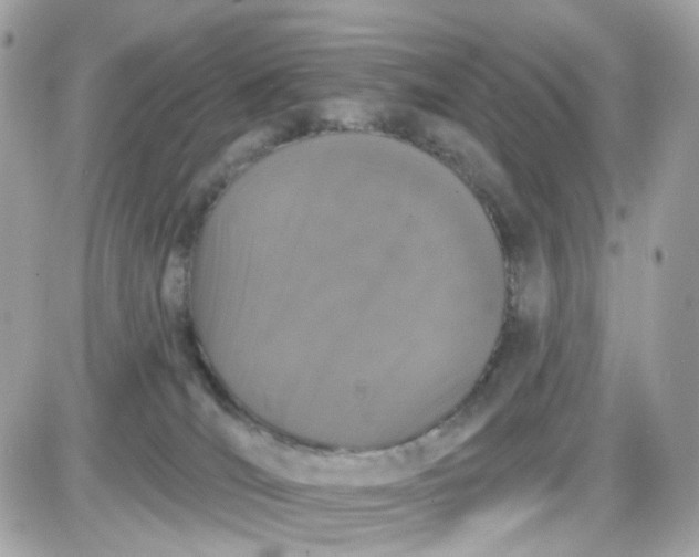 X0000087530036200705112042