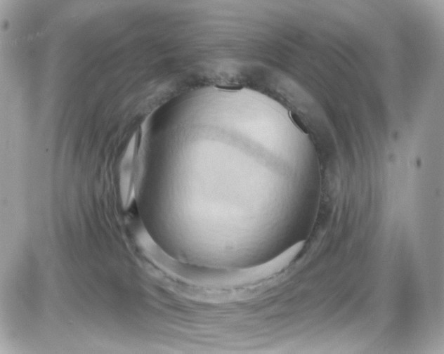 X0000087530037200705112042