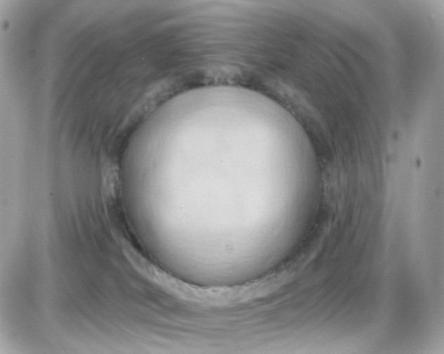 X0000087530038200705112042