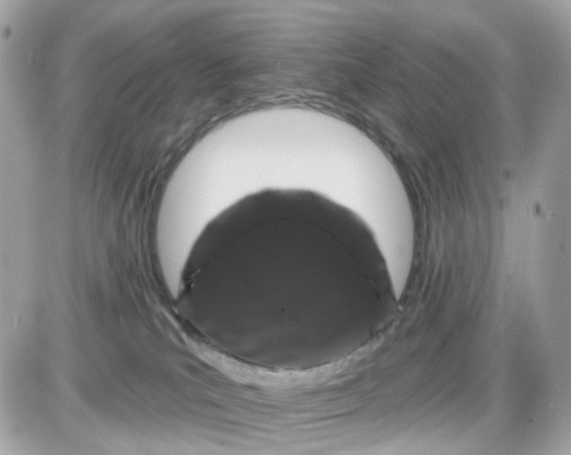 X0000087530039200705112042