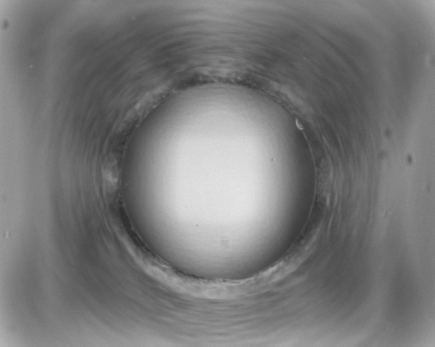 X0000087530040200705112042