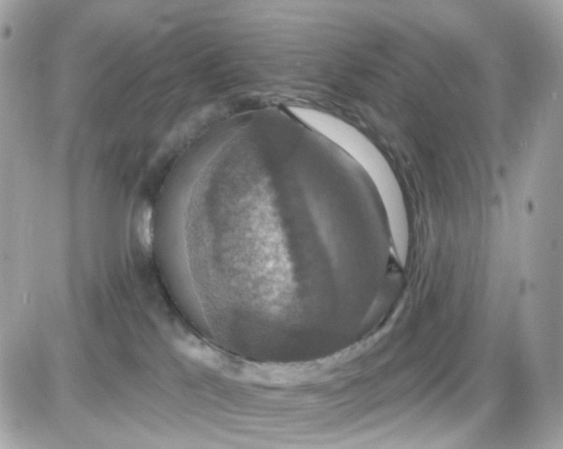 X0000087530041200705112042