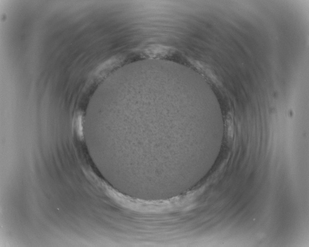 X0000087530042200705112042