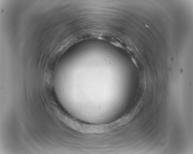 X0000087530044200705112042