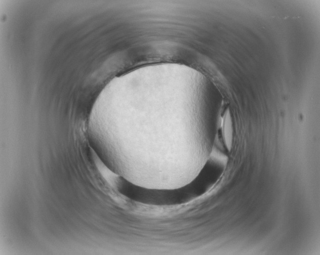 X0000087530045200705112042