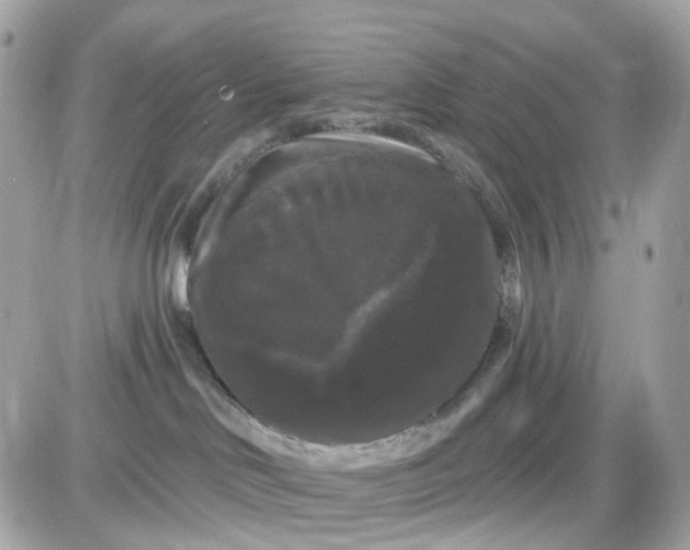 X0000087530046200705112042