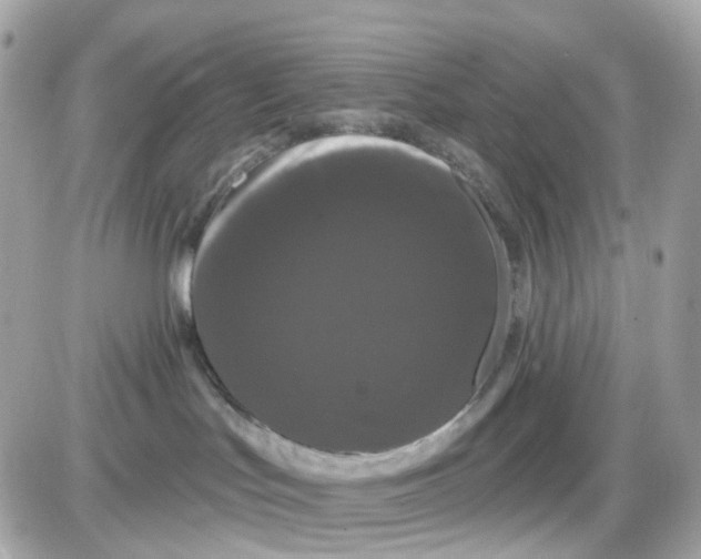 X0000087530047200705112042