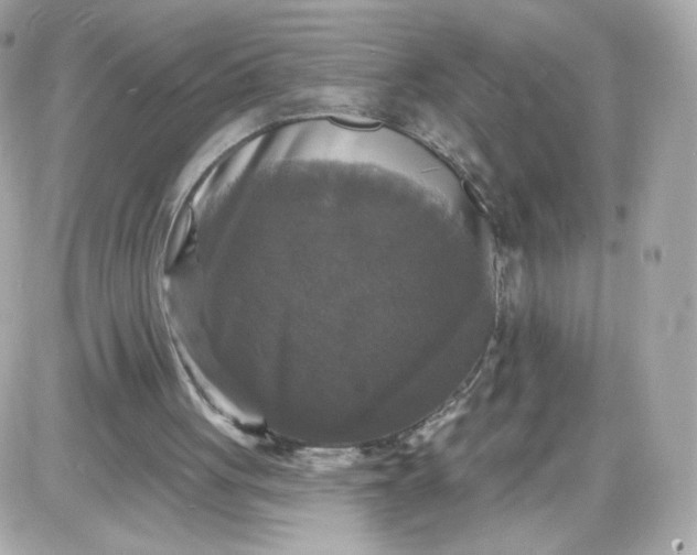 X0000087530051200705112041