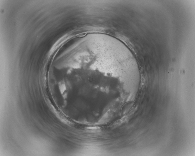 X0000087530053200705112041