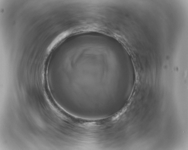 X0000087530054200705112041