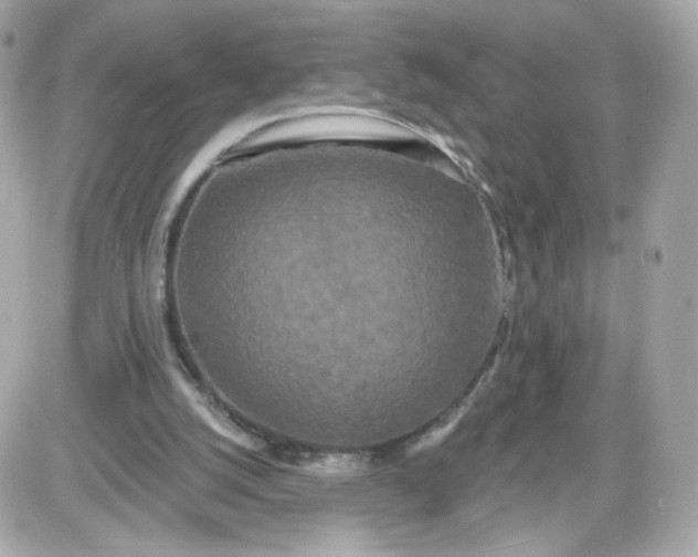 X0000087530056200705112041