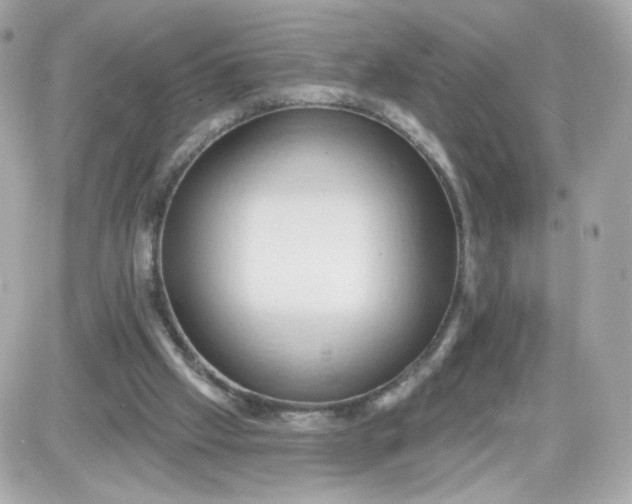 X0000087530057200705112041